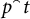 p left brace right brace ⌢ Superscript t Baseline