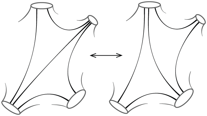 Two side-by-side network diagrams with curved arcs and boundary ovals, connected by a double-headed arrow indicating a transformation. See long description.
