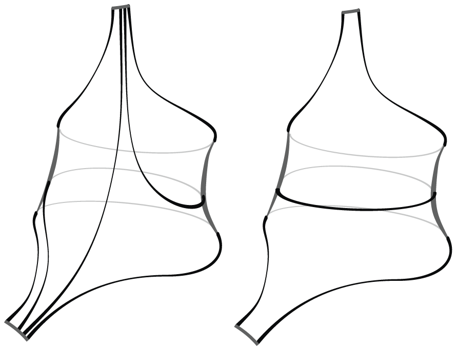 A two-panel line drawing shows a cylinder decomposed into hexagonal regions with thick black curves marking boundaries and a central core curve. See long description.