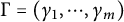 Gamma equals open parenthesis gamma sub one comma dot dot dot comma gamma sub m close parenthesis