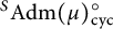 Superscript upper S Baseline upper A d m left parenthesis mu right parenthesis Subscript backslash operatorname c y c Superscript ring