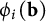 phi Subscript i Baseline left parenthesis bold b right parenthesis