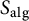upper S Subscript a l g