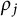 rho Subscript j