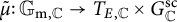 mu overtilde colon upper G Subscript normal m comma double struck upper C Baseline right arrow upper T Subscript upper E comma double struck upper C Baseline times upper G Subscript double struck upper C Superscript s c