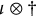 iota circled times dagger