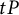 t upper P