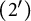 left parenthesis 2 prime right parenthesis