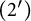 left parenthesis 2 prime right parenthesis