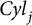 backslash textit upper C y l Subscript j