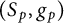 left parenthesis upper S Subscript p Baseline comma g Subscript p Baseline right parenthesis