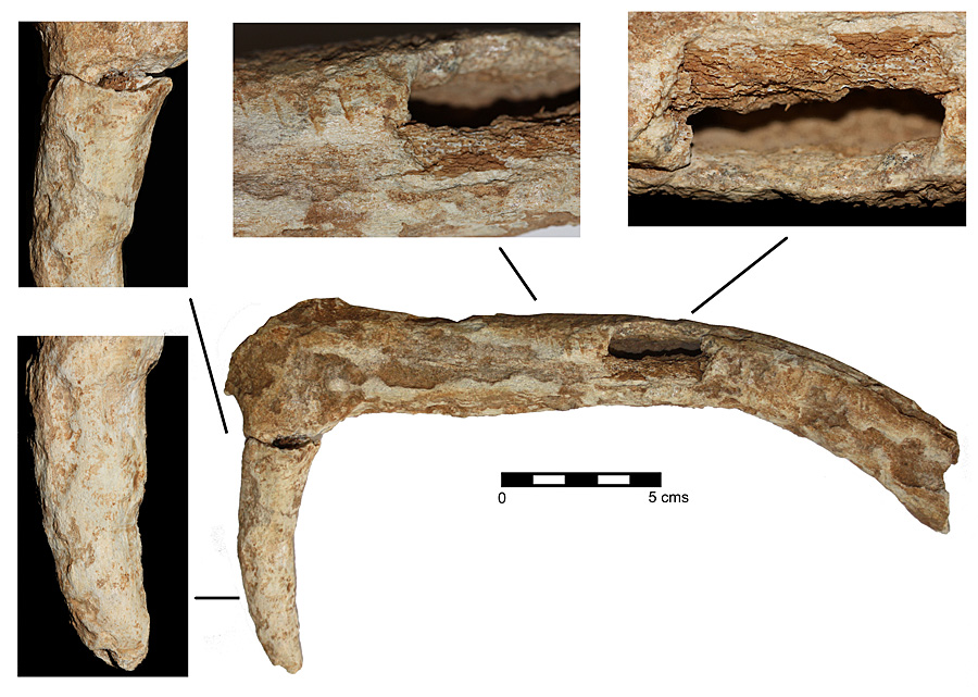 Figure 5
