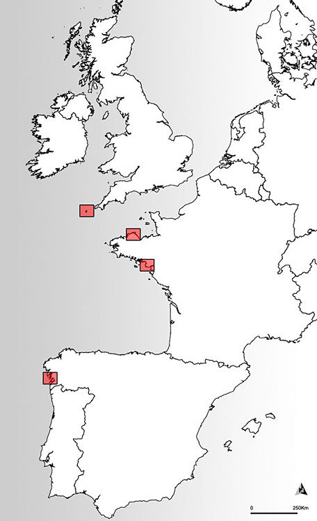 Figure 0