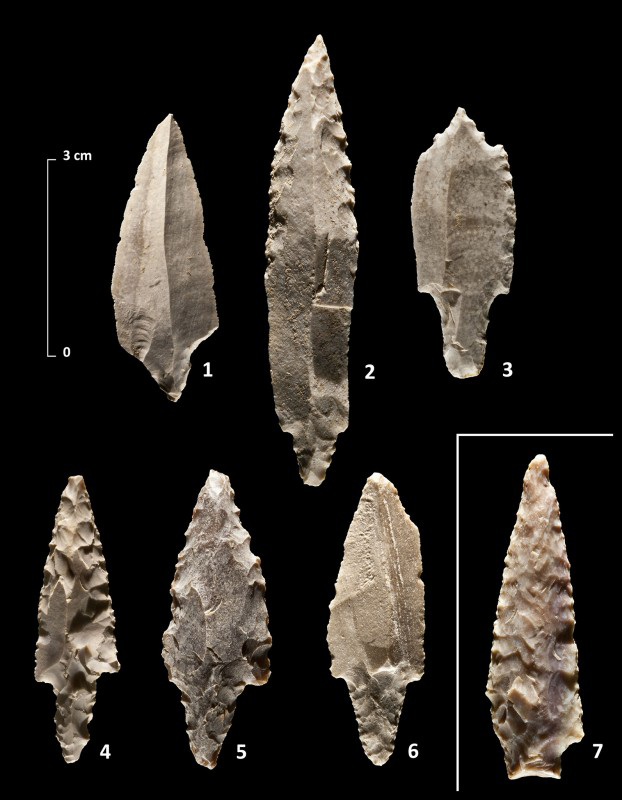 Figure 4