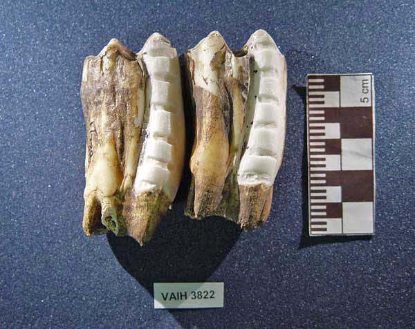 Figure 0