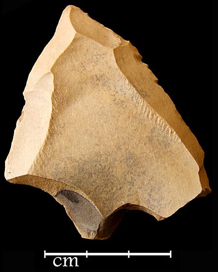 Figure 8
