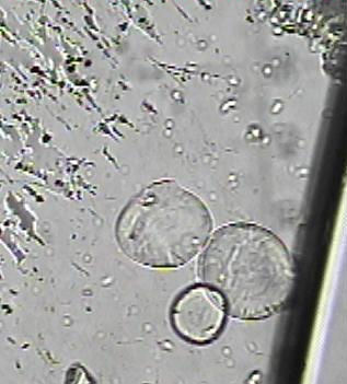 Figure 8