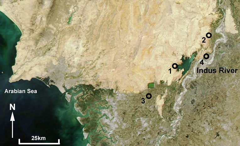 Figure 0