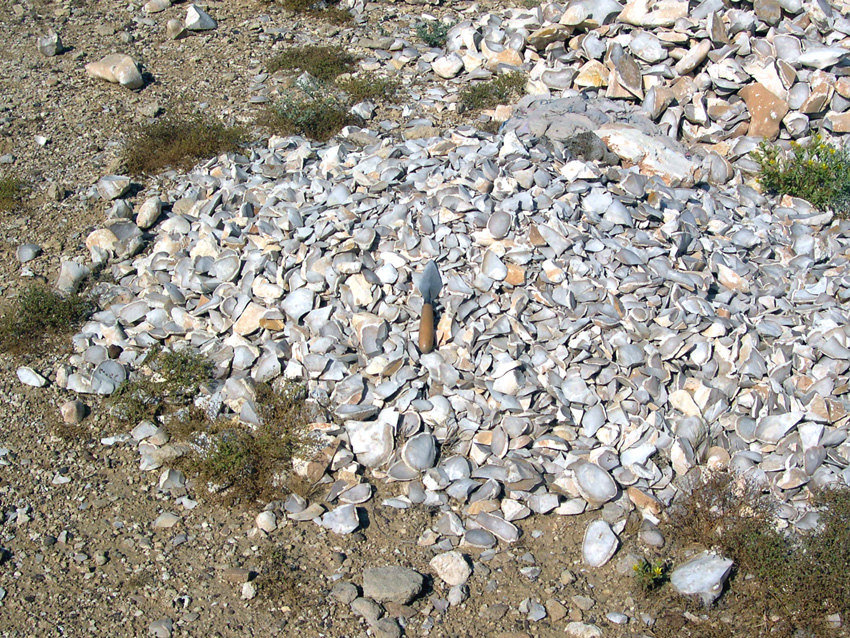 Figure 8