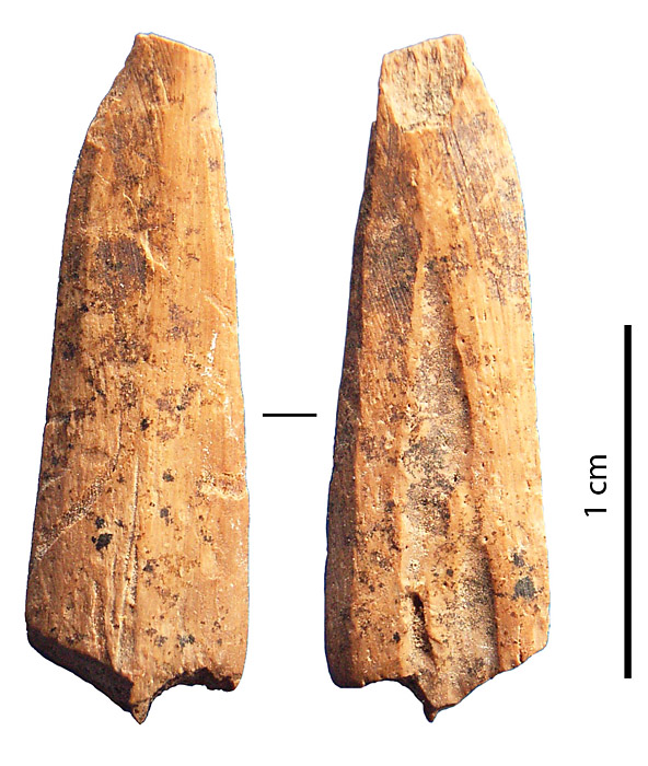 Figure 7