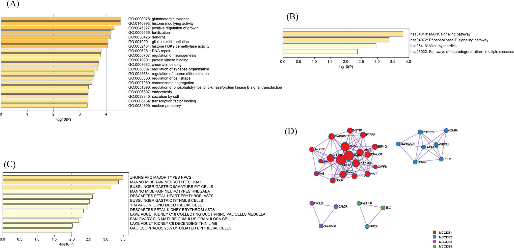 A four-panel multiplot with three horizontal bar charts showing pathway and cell type enrichment and one protein interaction network with colored clusters. See long description.