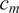 c Subscript m