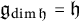 German g Subscript dimension German h Baseline equals German h