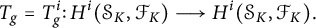 StartLayout 1st Row upper T Subscript g Baseline equals upper T Subscript g Superscript i Baseline colon upper H Superscript i Baseline left parenthesis script upper S Subscript upper K Baseline comma script upper F Subscript upper K Baseline right parenthesis long right arrow upper H Superscript i Baseline left parenthesis script upper S Subscript upper K Baseline comma script upper F Subscript upper K Baseline right parenthesis period EndLayout