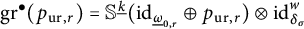 g r Superscript bullet Baseline left parenthesis p Subscript u r comma r Baseline right parenthesis equals double struck upper S Superscript ModifyingBelow k UnderbarBaseline left parenthesis i d Subscript ModifyingBelow Omega UnderbarSub Subscript 0 comma r Subscript Baseline circled plus p Subscript u r comma r Baseline right parenthesis circled times i d Subscript delta Sub Subscript sigma Superscript w