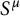 upper S Superscript mu