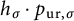 h Subscript sigma Baseline dot p Subscript u r comma sigma