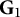 upper G 1