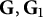 bold upper G comma upper G 1