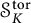 script upper S Subscript upper K Superscript t o r