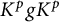 upper K Superscript p Baseline g upper K Superscript p