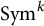 upper S y m Superscript k