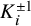 upper K Subscript i Superscript plus or minus 1