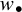 w Subscript bullet
