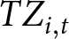 TZi comma t
