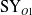 normal upper S normal upper Y Subscript upper O Baseline 1