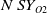 upper N upper S upper Y Subscript upper O Baseline 2