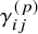 gamma Subscript i j Superscript left parenthesis p right parenthesis