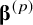 beta Superscript left parenthesis p right parenthesis