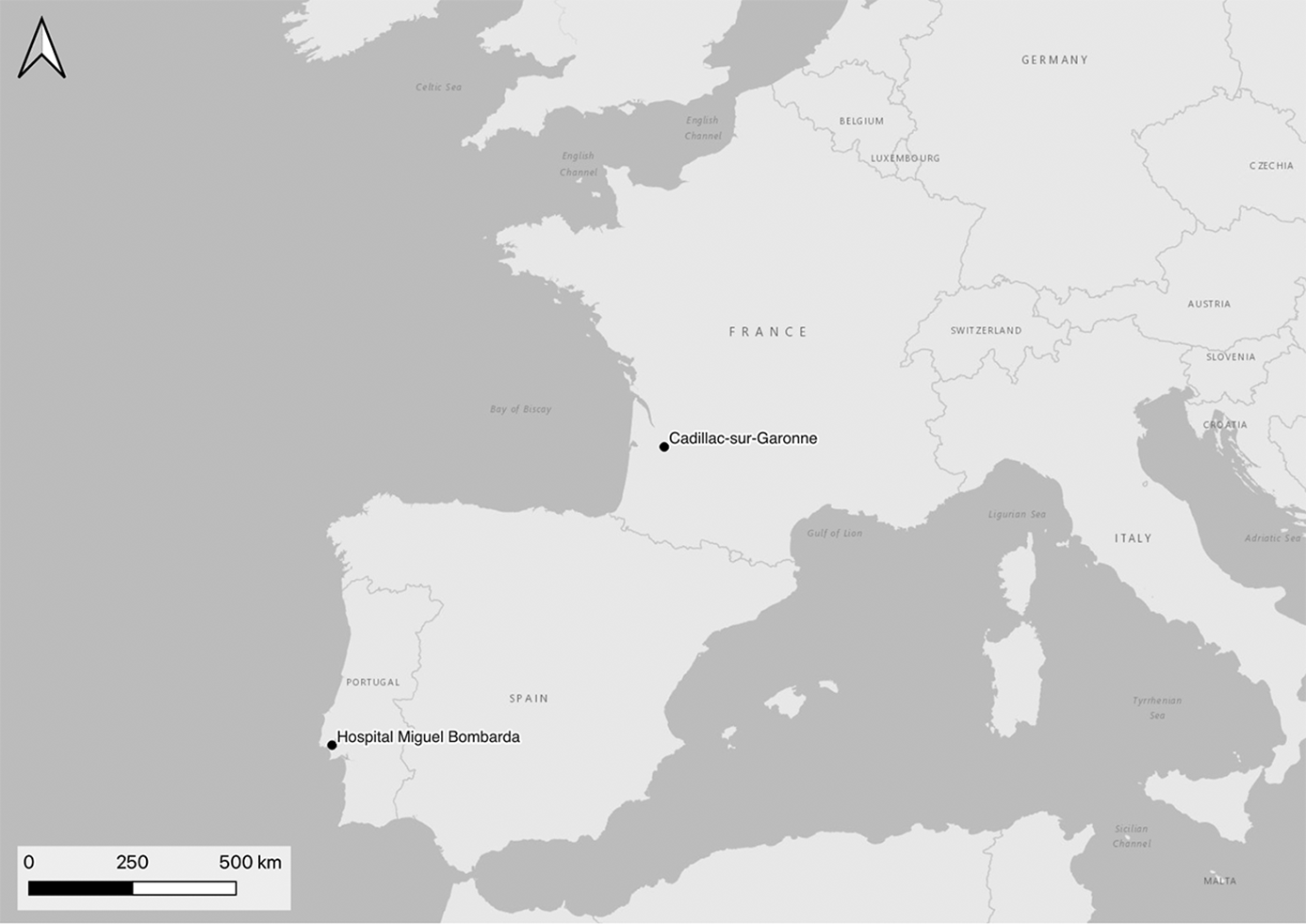 A map of Western Europe highlighting the locations of Cadillac and Miguel Bombarda psychiatric hospitals.