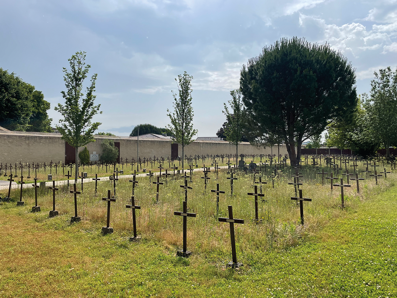 A cemetery with numerous black crosses in a grassy field, surrounded by trees and a wall.