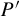 upper P prime