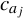 c Subscript a Sub Subscript j