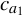 c Subscript a 1