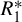 upper R 1 Superscript asterisk