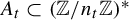 upper A Subscript t Baseline subset of left parenthesis double struck upper Z divided by n Subscript t Baseline double struck upper Z right parenthesis Superscript asterisk
